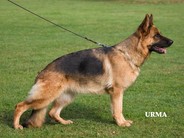 Xini vom Tollensestrand