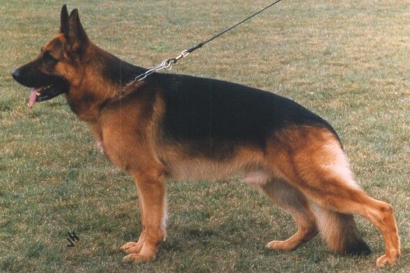 Cash vom Wildsteiger Land