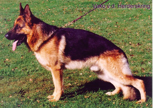 Vako van de Herderskring