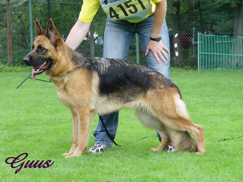 Bama von der Grafenburg (Ost)