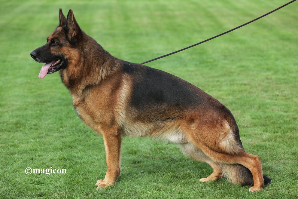 Ben vom Haus an der Schiene