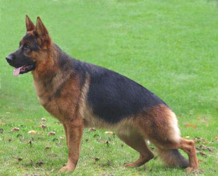 Markus vom Status quo