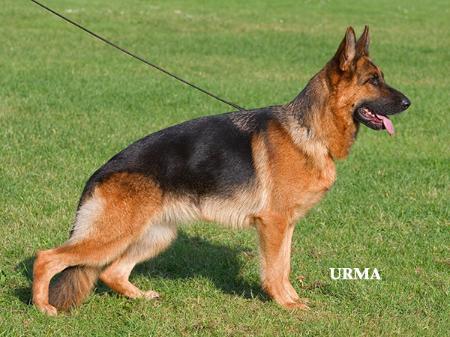 Gina von der Karl-May Höhle