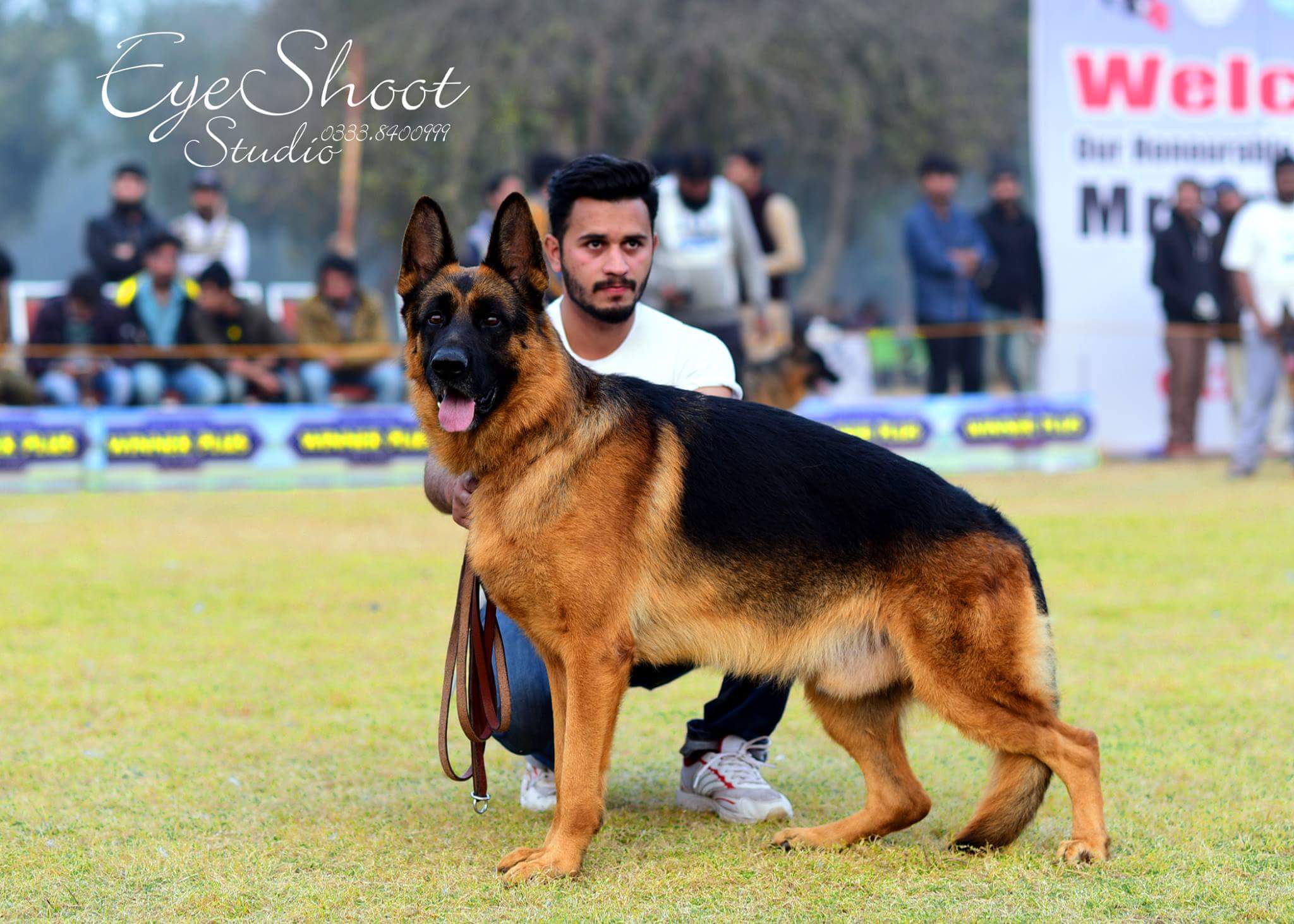 Wagus vom Lärchenhain