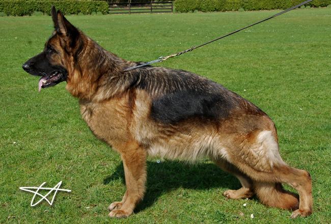 Chipsina vom Holtkämper See