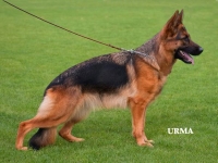 Zaira vom Rumbachtal