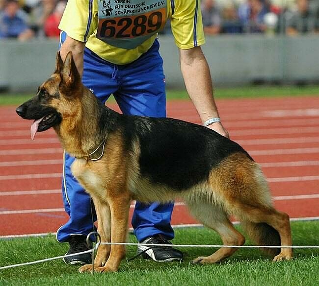 Hilvi vom Hühnegrab