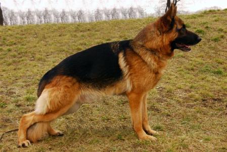 Horko vom Hühnegrab