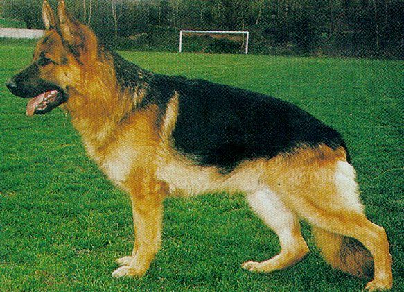 Volker vom Fourniermühlenbach