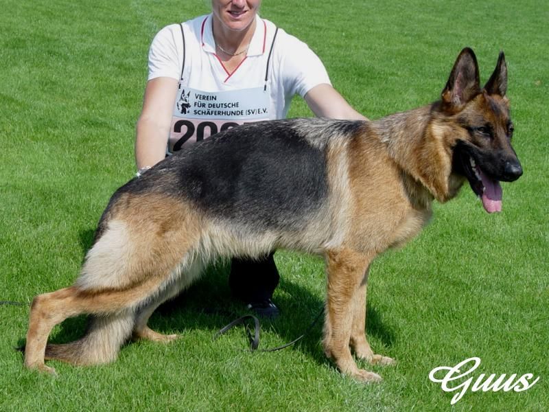 Zadana vom Holtkämper See