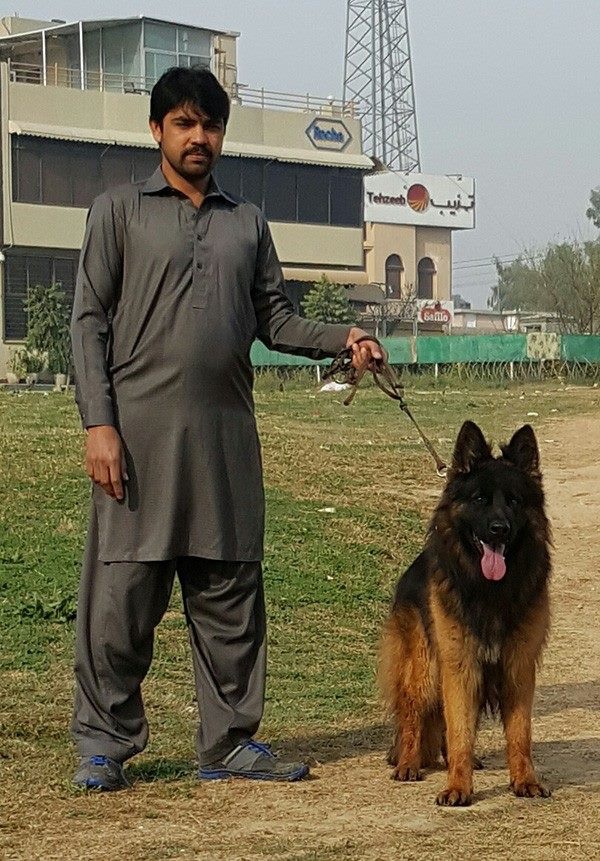 Crane Von Marbo Wolf 