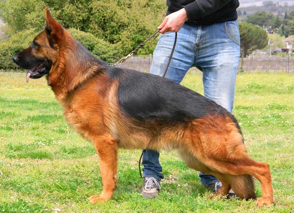 Wulkano von der Jahnhöhe