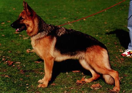 Farina von der Urbecke
