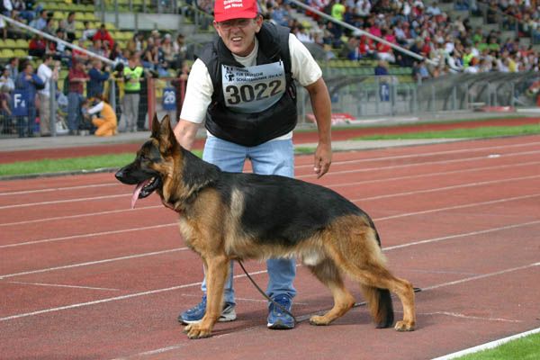 Ronaldo von der Noriswand