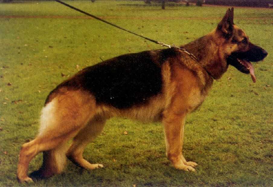 Manto von der Lengernheide