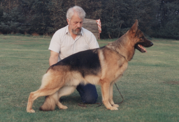 Manto vom Overledingerland