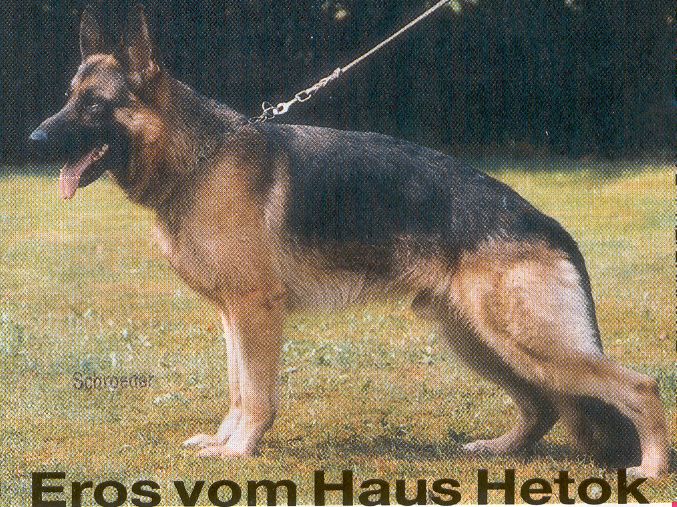 Eros vom Haus Hetok