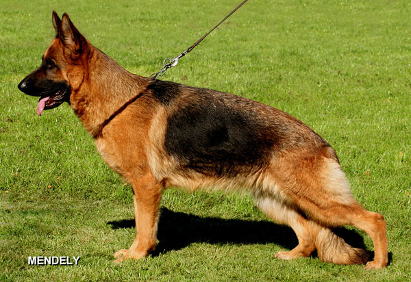 Fanny di Val del Lambro