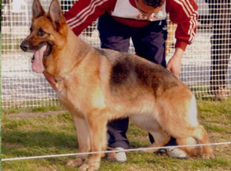 Alba di Casa Beggiato