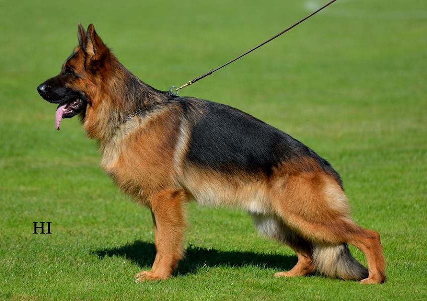 Finn von der Piste Trophe