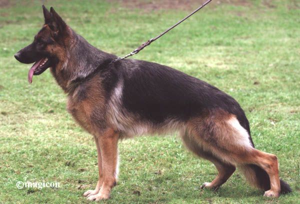 Cosy vom Holtkämper See