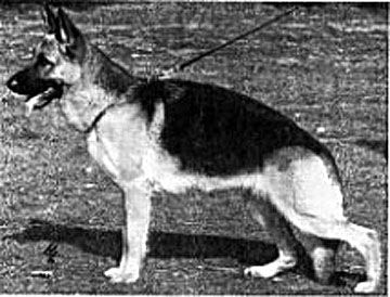 Kerstin vom Mönchberg