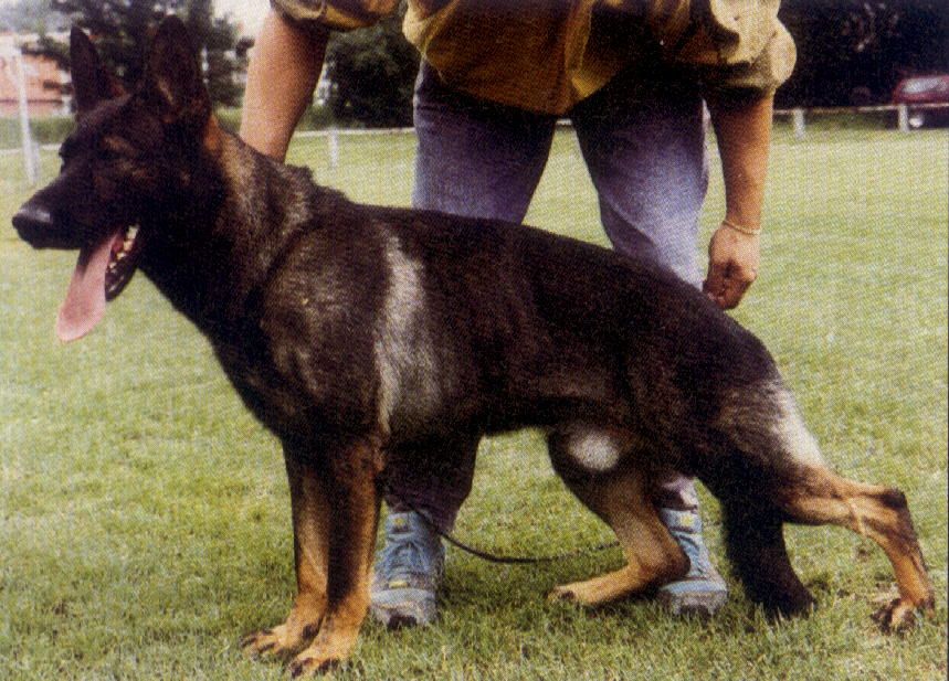 Cliff von der Möhnequelle