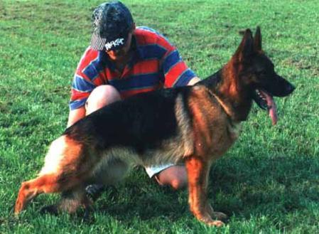 Rena vom Haus Licher