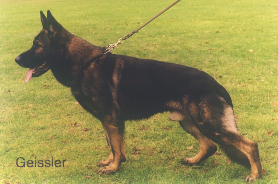 Ahron von Granit Rose