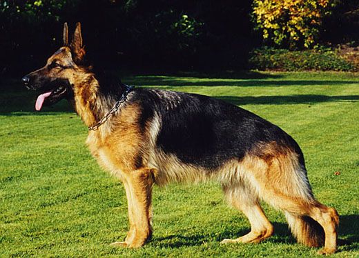 Wari vom Holtkämper See