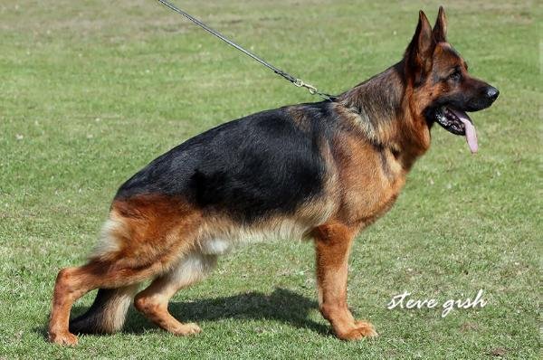 Jannik vom Messina (Ost)