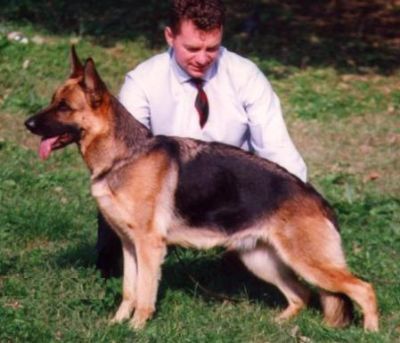 Image not found