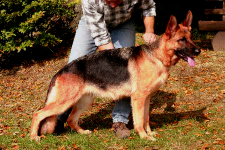 Hilary vom Hammelsbacher Hof