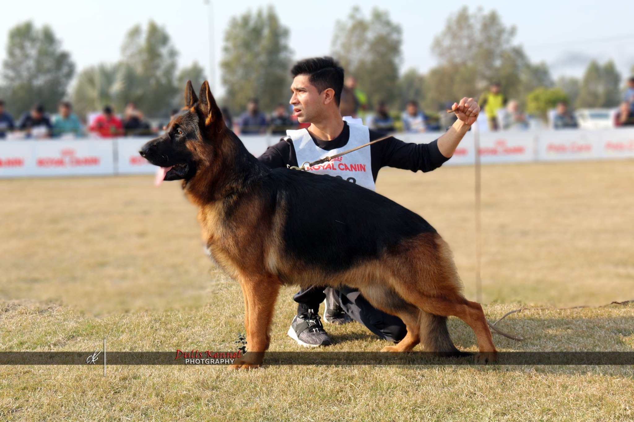 Dante Team Falvavölgyi