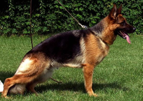 Xinti von der Piste Trophe