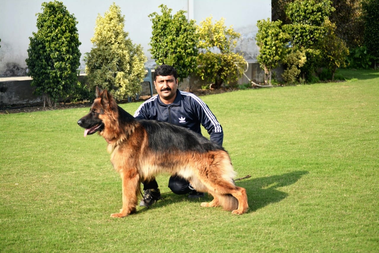 Cronos vom Lion Heart