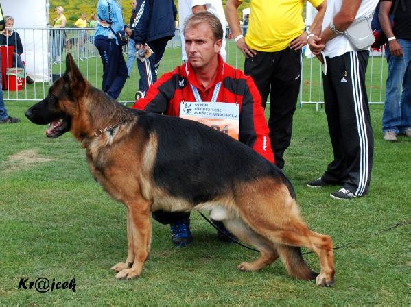 Zoran von der Zenteiche