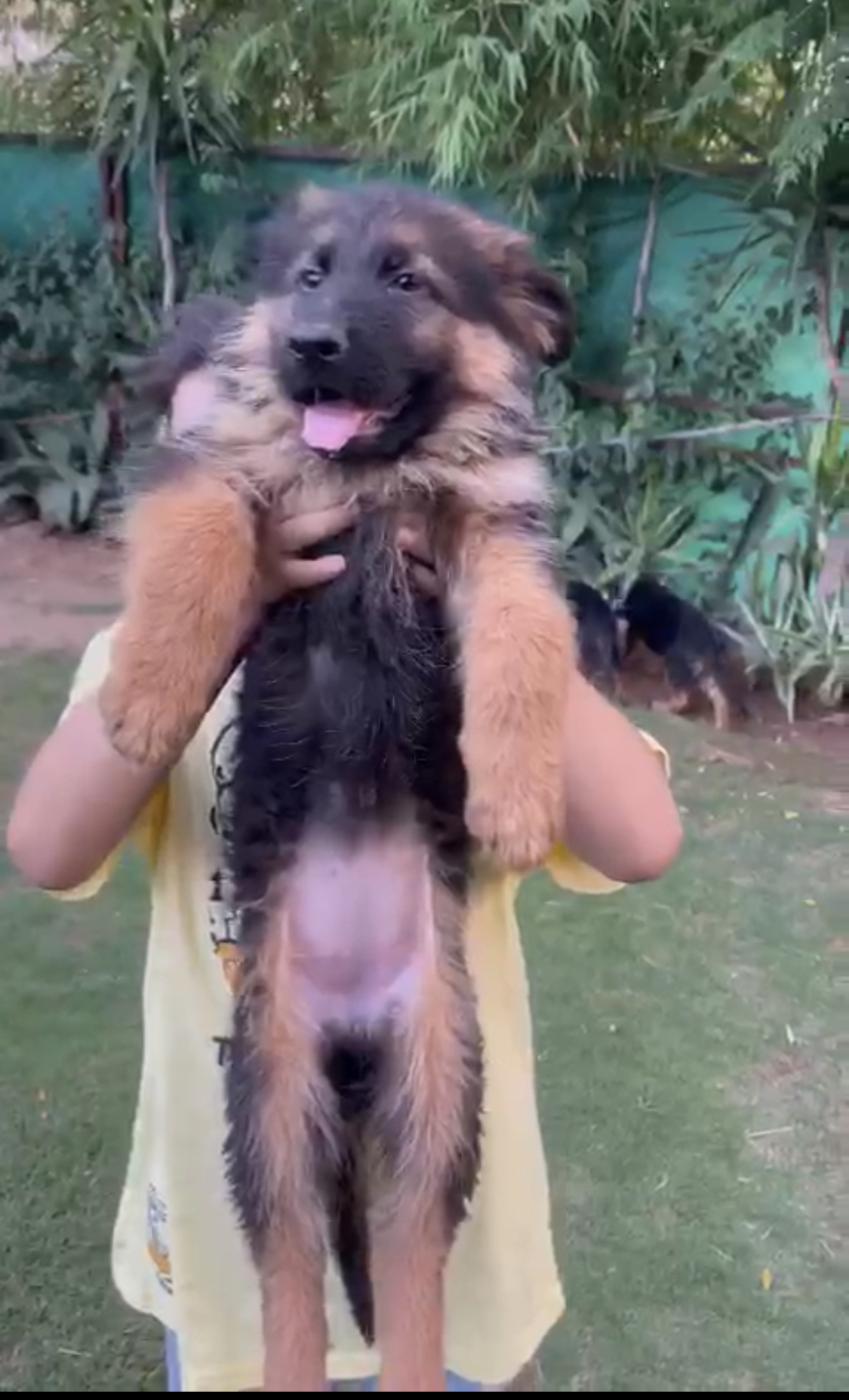  Barbie vom Pine Woods