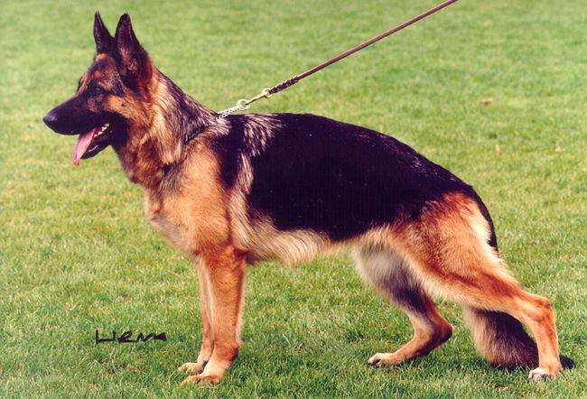 Nanni von der Blanke