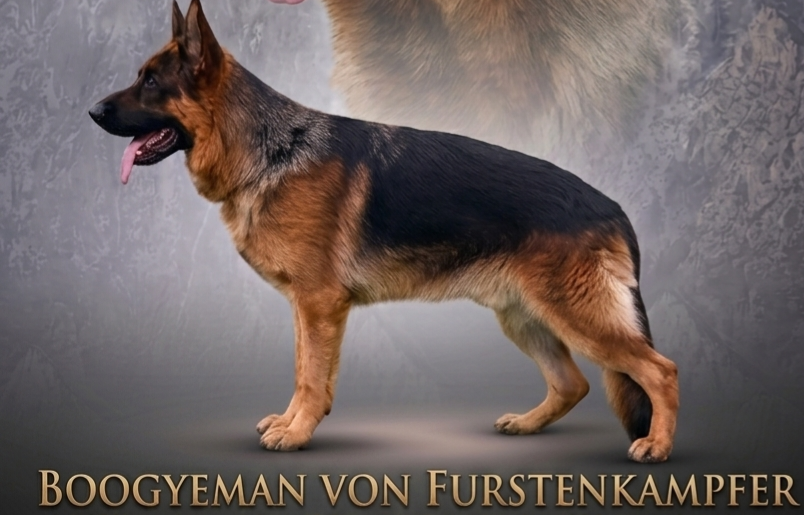 Boogeyman von FürstenKämpfer