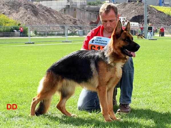 Fanda vom Fichtenschlag