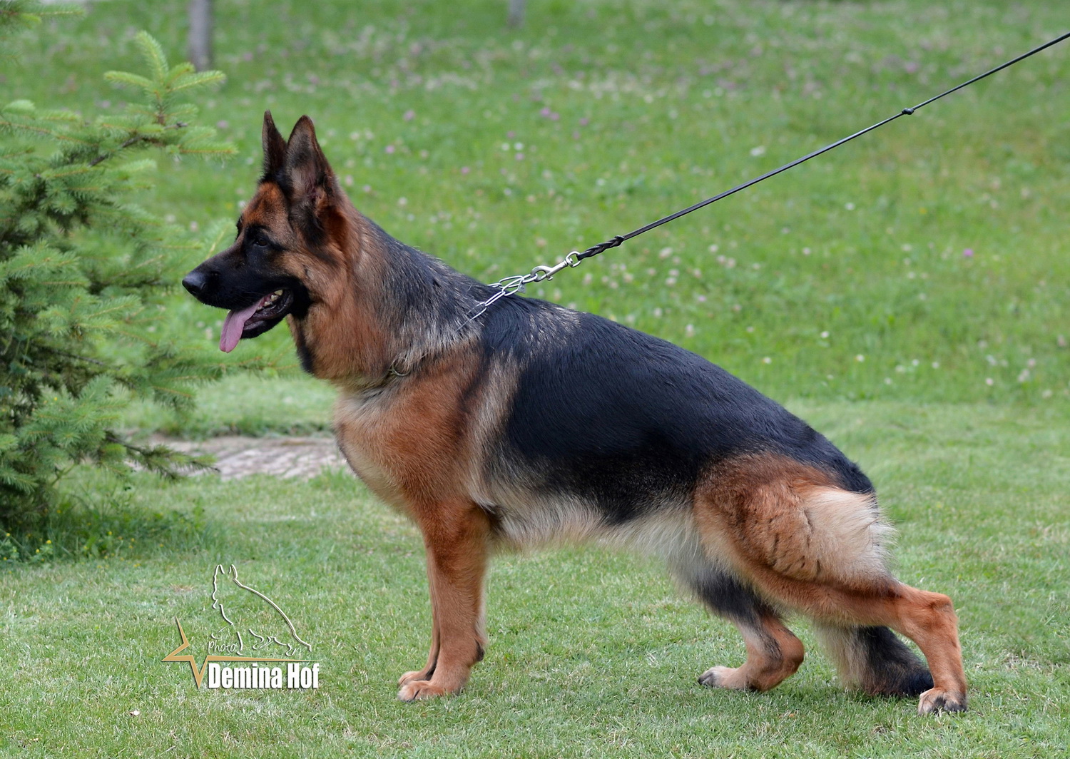 Cuba vom Haus Neoplantum