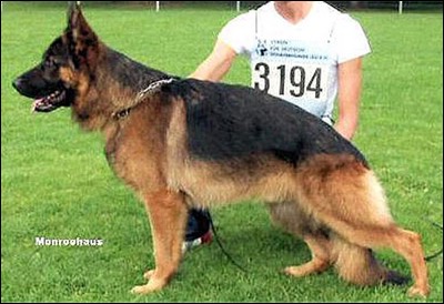 Andrjuscha van Noort