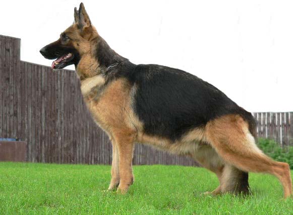 Hara vom Team Fiemereck