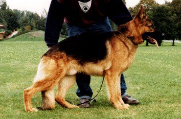 Boss vom Externstein