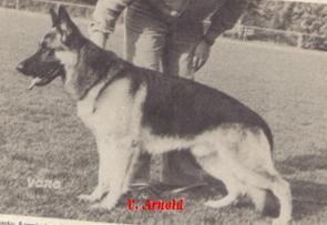 Sonny vom Badener-Land