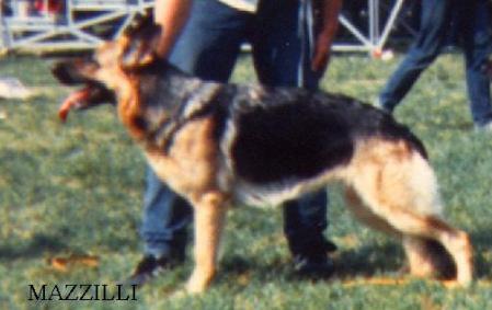 Anschi vom Trienzbachtal