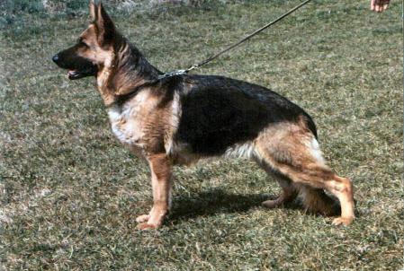 Cita vom Heilbronner Schloß