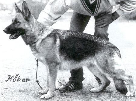 Murmel vom Berrekasten