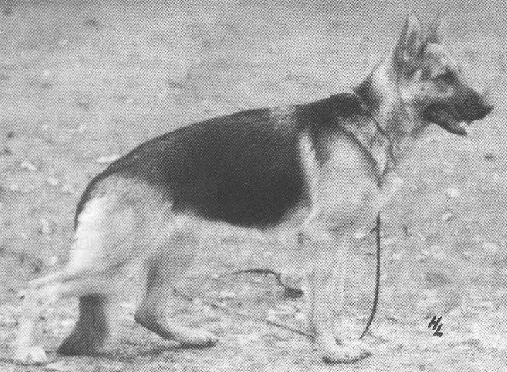 Anka von der Bertenau